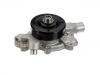 Water Pump:53020280