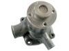 Water Pump:922507310015