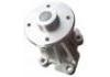 Water Pump:21010-EA010