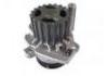 Water Pump:038121011JX