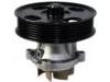 Water Pump:93195466