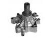 Water Pump:504113544